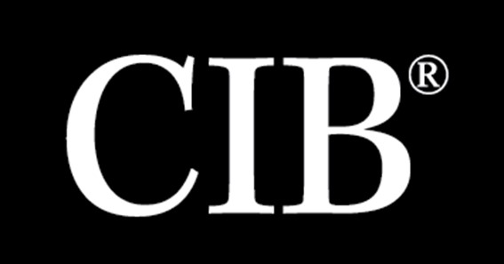 What Is CIB