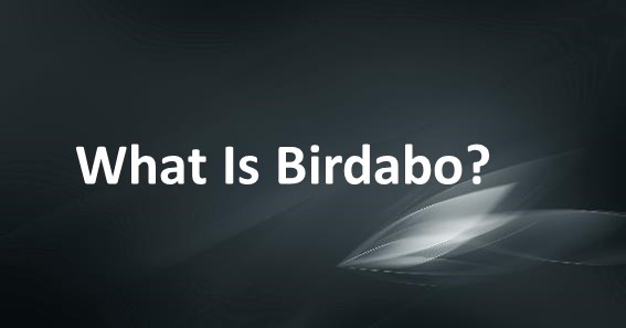 What Is Birdabo